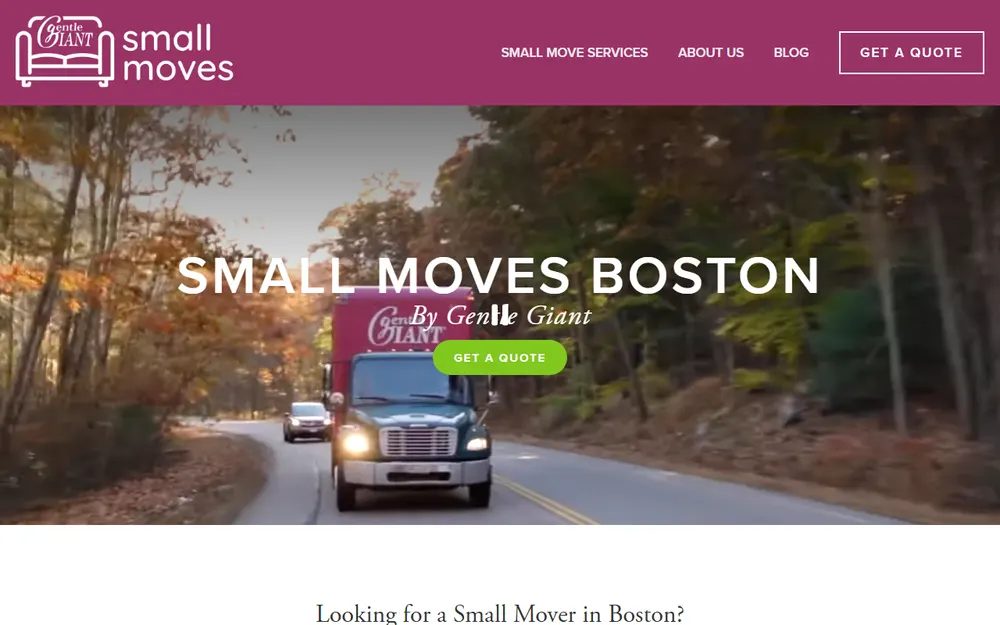 Small Moves Boston homepage