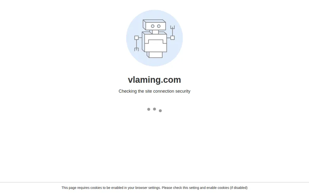 Vlaming Verhuisbedrijf Amsterdam homepage