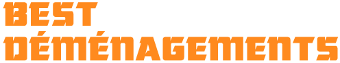 Best Déménagement Paris - Débarras logo