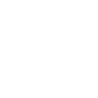 Blue Dolly Moving & Storage logo