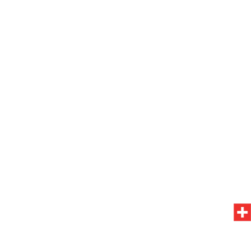 Moving services Zurich GmbH logo