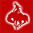 Cowboy Moving & Storage Inc Denver logo