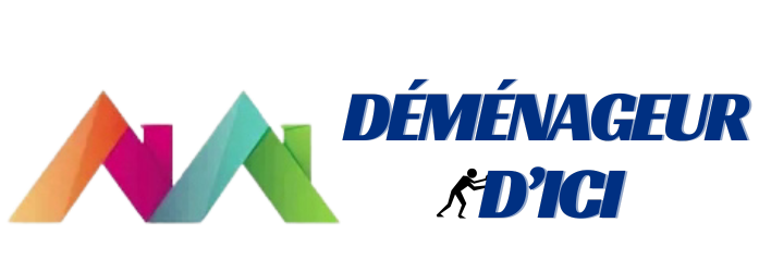 Déménageur D'ici Québec logo