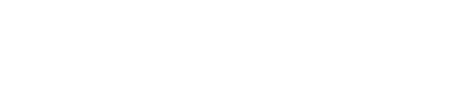 Irish Express Moving & Storage, Inc. logo