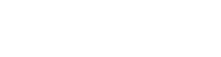 Next Destination Moving logo