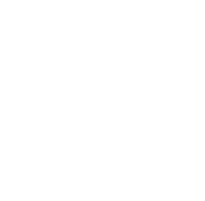True Move Movers logo