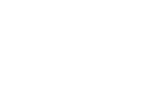 Wagon Movers logo