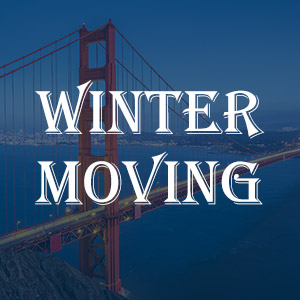 Winter Moving & Storage logo