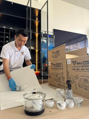 Bull Movers Pte. Ltd. photo