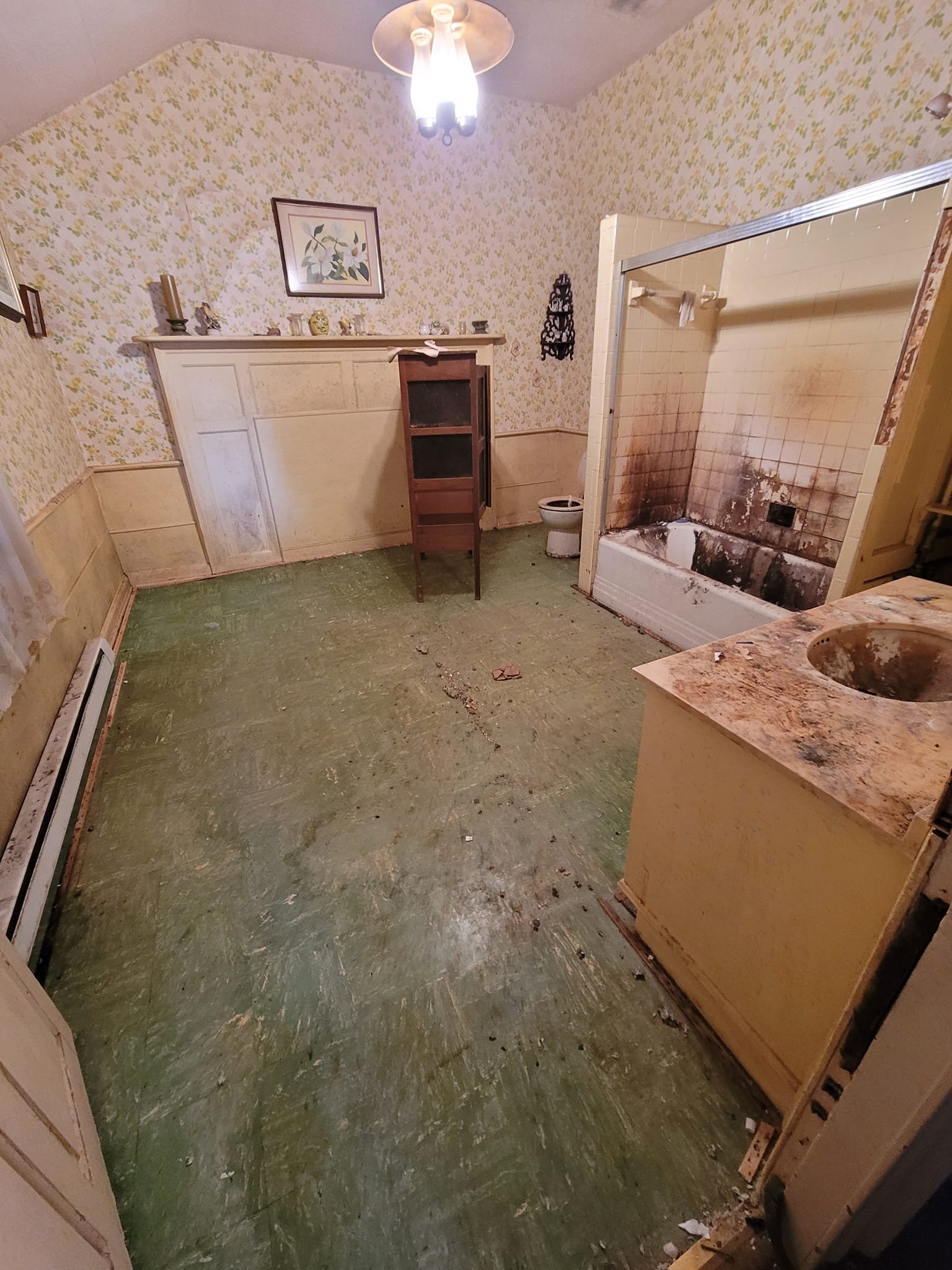 Dump It Hoarding Cleanup Services photo
