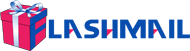 Flashmail Box & Ship photo