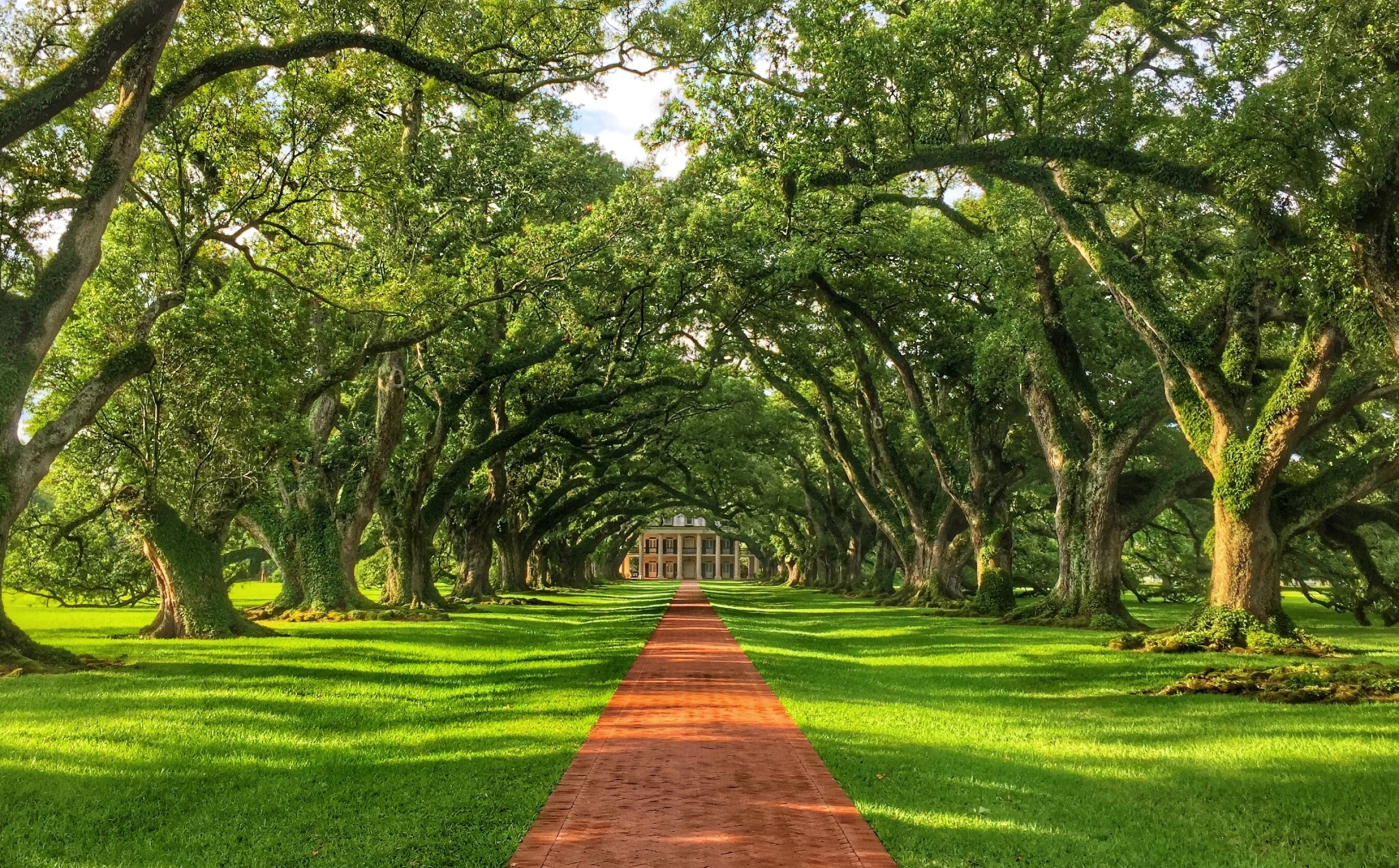 Gray Line New Orleans photo