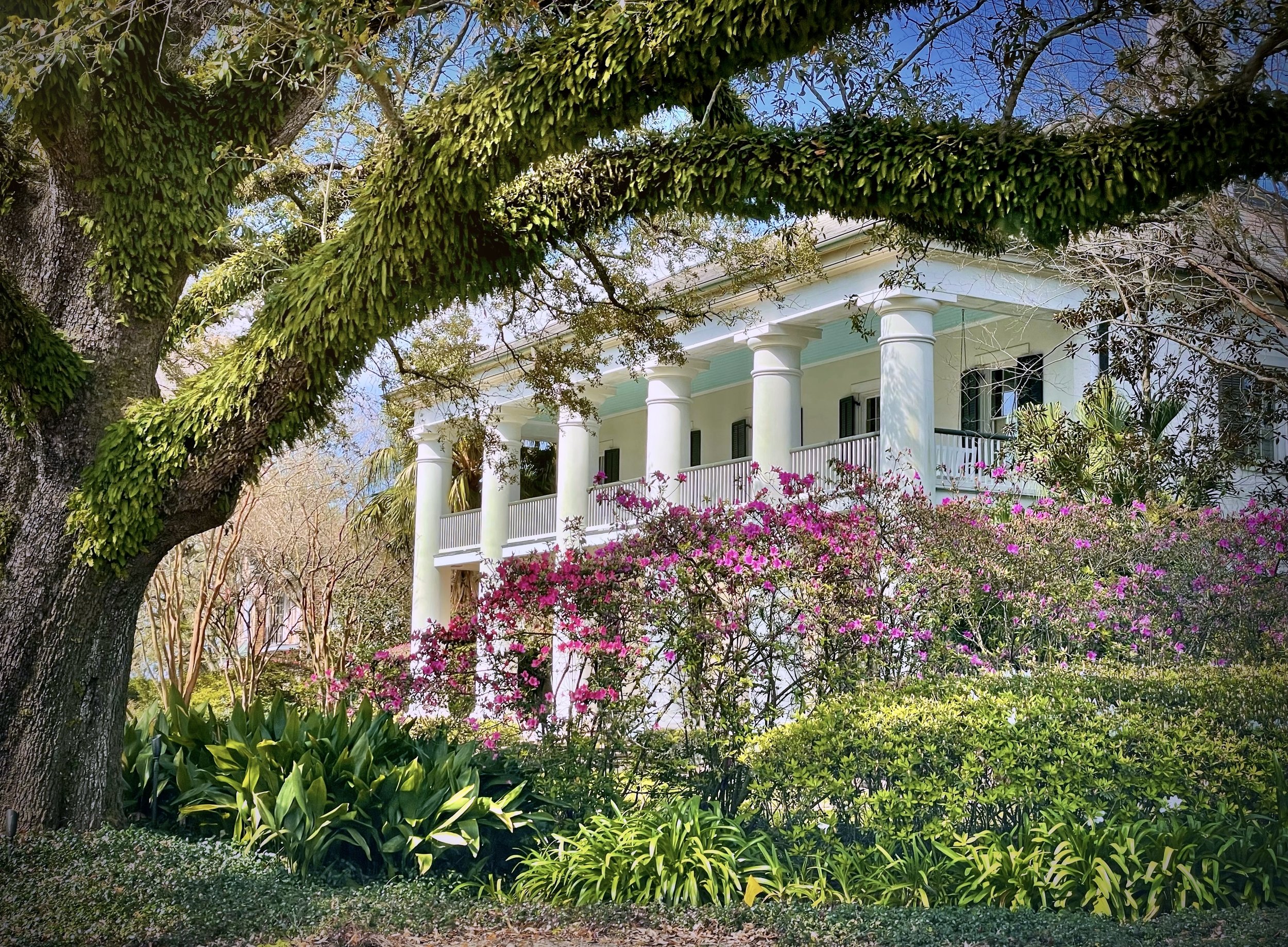 La Vie New Orleans Private Tours photo