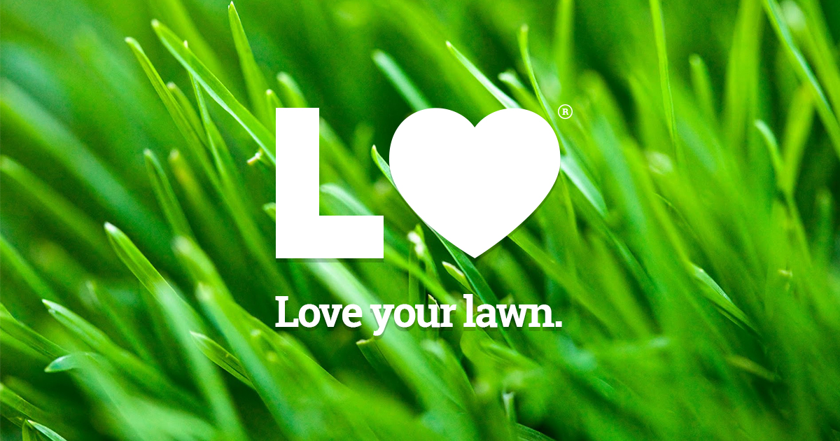 Lawn Love - Fort Worth photo