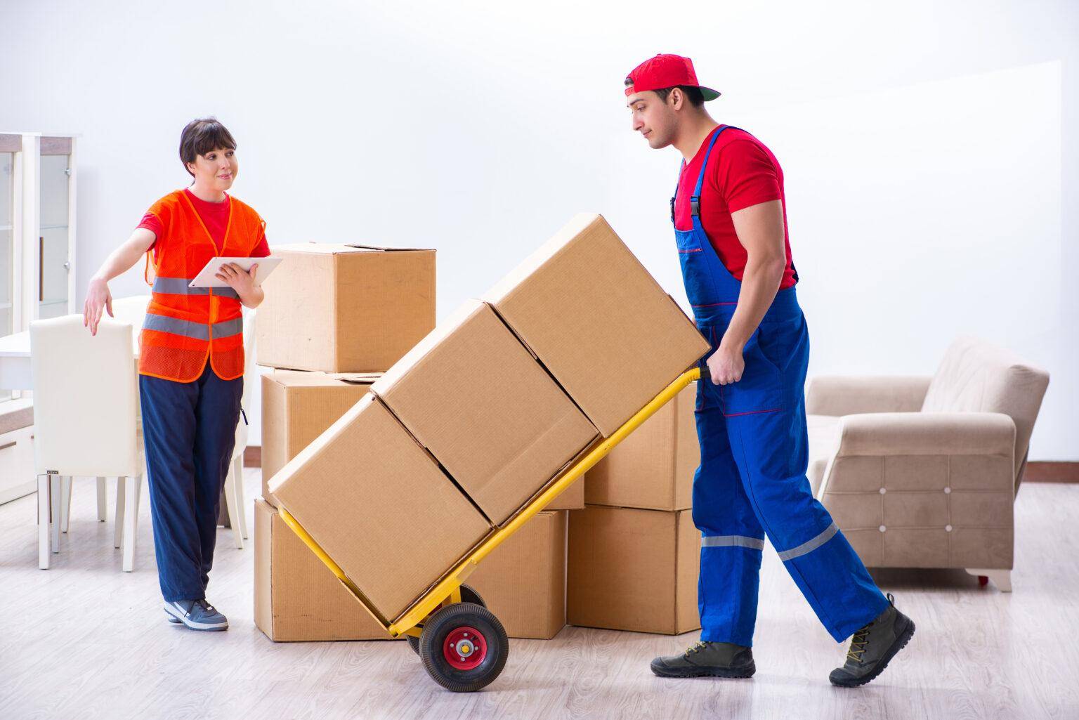 Le Voyage Packer & Movers LLC - Professional Movers Packers Dubai photo