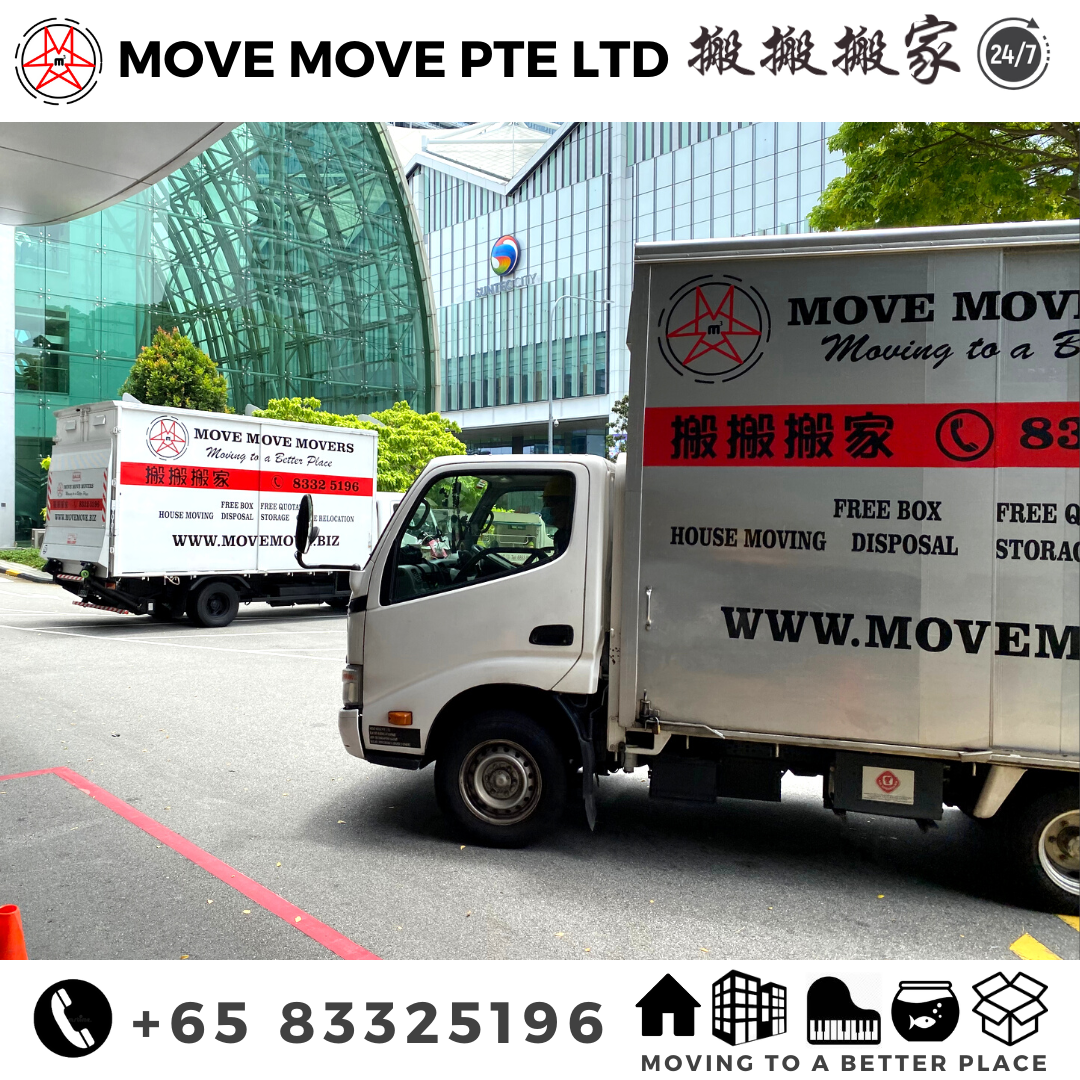 Move Move Movers photo