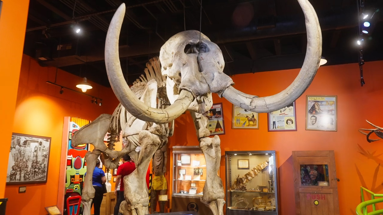 Ripley's Believe It or Not! photo