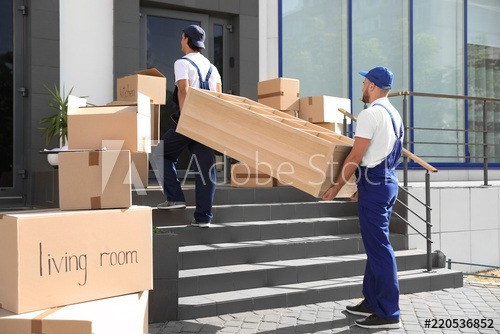 Your Local Movers LTD photo